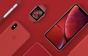 iPhone XS màu đỏ có thể ra mắt vào cuối tháng này