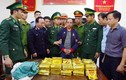 Hà Tĩnh: Bắt đối tượng vận chuyển gần 300kg ma túy đá