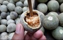 Khám phá loại táo gỗ cứng như đá vẫn ăn ngon ở Ấn Độ
