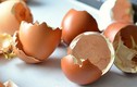 “Thần dược” vỏ trứng chữa được nhiều bệnh cực tốt 
