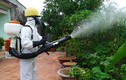 Hơn 40 công nhân bị ngộ độc thuốc diệt côn trùng nguy hiểm ra sao?