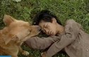 Bé An 'Đất phương Nam' và ký ức khi được chó Phèn cứu sống trong phim 