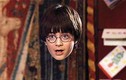 15 tiết lộ gây sốc về các nhân vật trong Harry Potter