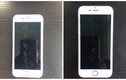 Mua 9 chiếc iPhone 6S khắc chữ trách tình cũ bội bạc