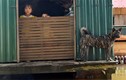 Chùm ảnh: Cuộc sống trên mái nhà ở rốn lũ Quảng Bình