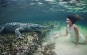 Hãi hùng xem người mẫu bơi lội cùng cá sấu khổng lồ