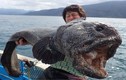 Bắt được "quái vật" biển cá sói đột biến vì phóng xạ