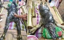 Kỳ dị quái vật nửa trâu nửa cá sấu ở Thái Lan