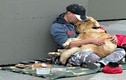 Cảm động sự gắn bó giữa chủ vô gia cư và chó cưng
