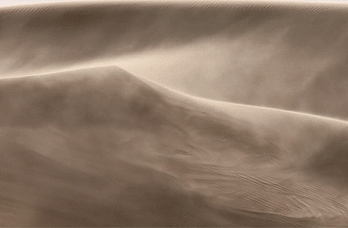 Sự thật gây sốc về sa mạc bạn khó có thể tin