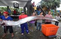 Liên tiếp bắt được cá lạ khổng lồ ở Trung Quốc