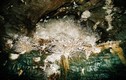 Kỳ quái hang động sản sinh tinh thể aragonit quý hiếm