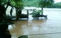 Nghệ An: 200 hộ dân bị cô lập sau cơn bão số 3