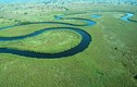 Tuyệt sắc Đồng bằng Okavango với hàng ngàn loài động thực vật
