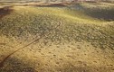 Giải mật bí ẩn vòng tròn thần tiên ở sa mạc Namibia 