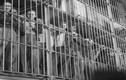 Muôn mặt trong nhà tù ở New York qua các thời kỳ 