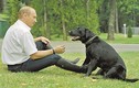 “Siêu” chó cưng của Tổng thống Nga Putin từng sống sướng thế nào?