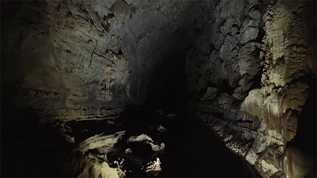 Đi săn hổ, phát hiện bí ẩn kỳ bí ẩn mình trong hang sâu