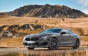 BMW 8-Series bất ngờ lộ diện trước ngày ra mắt