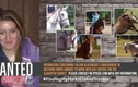 Nữ sinh viên thú y cứu chục con ngựa và sự thật kinh khủng