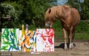 Lộ "bí kíp" khiến ngựa thông minh vẽ được tranh tài tình