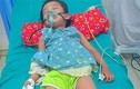 Sau 5 phút bị kiến đốt, bé 3 tuổi ở Tuyên Quang sốc phản vệ
