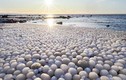 Sự thực bất ngờ sau hiện tượng biển đẻ trứng băng kỳ diệu