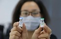 Vaccine made in Việt Nam - Nano Covax triển vọng thế nào?