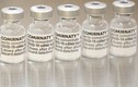Hãng Pfizer xin phê duyệt liều vắc xin COVID-19 thứ 3