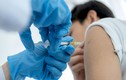 Lý do vaccine COVID-19 không đem lại miễn dịch suốt đời như các loại vaccine khác