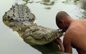 Kỳ lạ con cá sấu "ăn chay" sống hơn 70 năm trong ngôi đền ở Ấn Độ