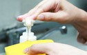 Pha loãng nước rửa bát: Bác sĩ khẳng định gấp đôi vi khuẩn 