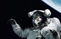 Tại sao NASA cho phép phi hành gia nam ở trên vũ trụ lâu hơn nữ?