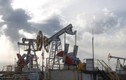 Châu Âu sẽ cấm vận hoàn toàn dầu của Nga trong vòng 9 tháng