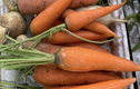 Ăn cà rốt thường xuyên, chuyện gì xảy ra với sức khỏe? 