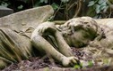 5 nghĩa trang “hút” khách nhất thế giới