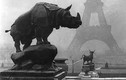 Ảnh hiếm: Paris lạ lẫm những năm 1920