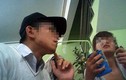 Học sinh "chơi bồ đà" ở phố núi Bảo Lộc