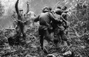 Ảnh “đắt giá” về chiến tranh Việt Nam trên NYTimes