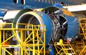 Nhân viên Vietnam Airlines kêu cứu