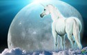 Huyền thoại về con ngựa trắng hóa thành Mặt trăng 