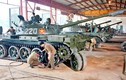 Việt Nam mong muốn Nga giúp nâng cấp vũ khí cũ