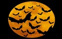 Những truyền thuyết muôn đời bí ẩn về Halloween