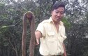 Hàng trăm con rắn bị thả ra khu dân cư Đồng Nai