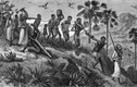 Khám phá bất ngờ về chế độ nô lệ trong lịch sử