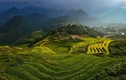 Ruộng bậc thang Việt Nam tuyệt đẹp trên National Geographic 