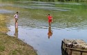 Vụ cá chết trên sông Bưởi: Nhà máy nhận trách nhiệm, đền bù