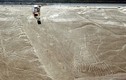 Hình vẽ cổ Nazca ở Peru và những bí ẩn chưa có lời giải