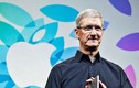 CEO Apple Tim Cook: “Chưa chắc Steve Jobs sáng tạo ra iPhone“