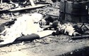Cảnh tượng hãi hùng tại tâm vụ nổ bom nguyên tử Hiroshima